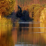 foto de naturaleza reflejos